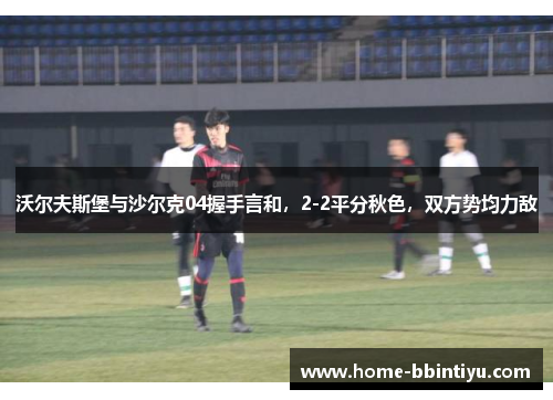 沃尔夫斯堡与沙尔克04握手言和，2-2平分秋色，双方势均力敌